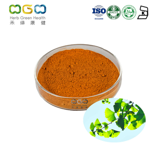 High Quality Ginkgo Biloba Leaf Extract Flavone