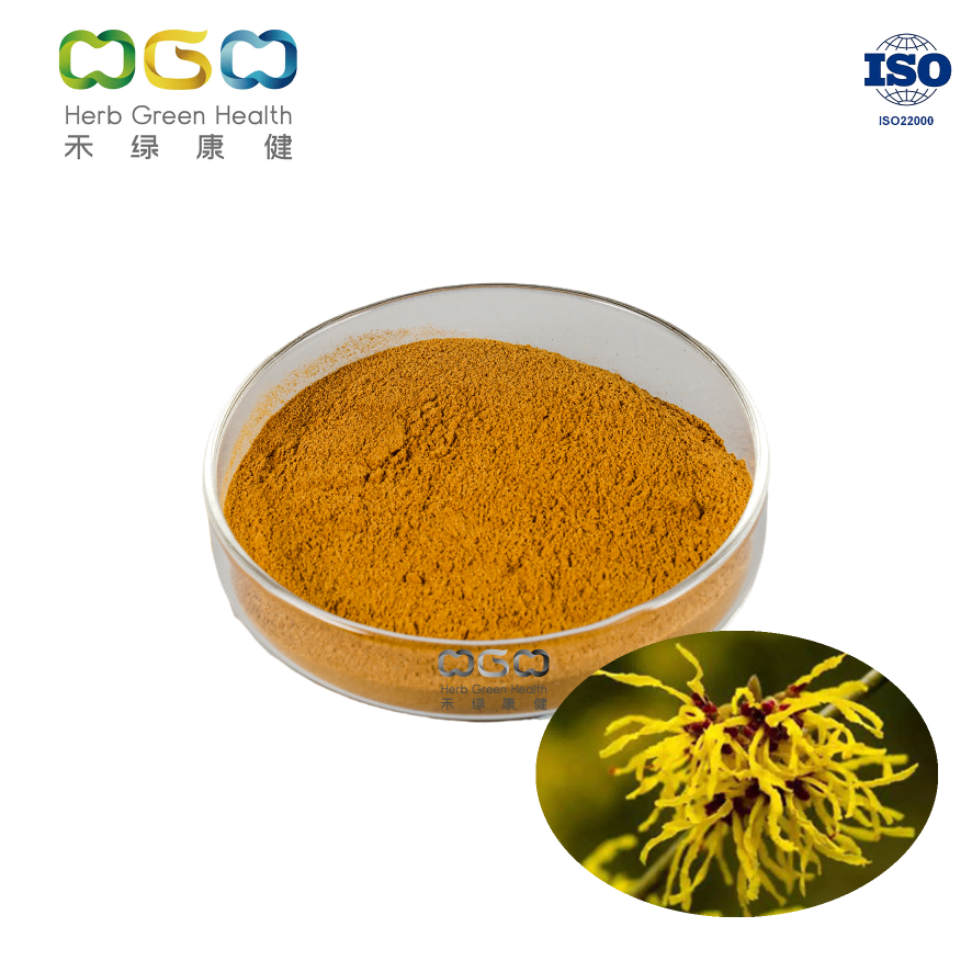 Anti-Aging Witch-Hazels Root Extract Powder