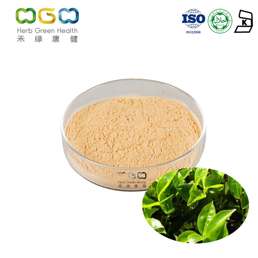Green Tea Leaf Extract Powder Polyphenols