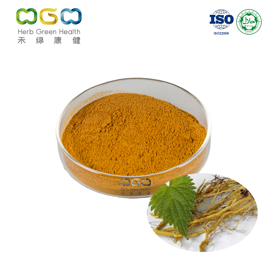 Wholesale Anti-oxidation Nettle Root Powder Supplement