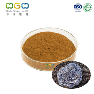 Water Soluble Turkey Tail Mushroom Extract Polystictus Glycopeptide Powder