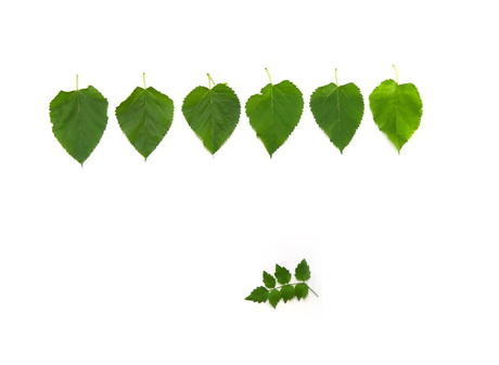 HERB GREEN HEALTH’S US LOCAL INVENTORY LIST (20221025)(1)_00 (1).png