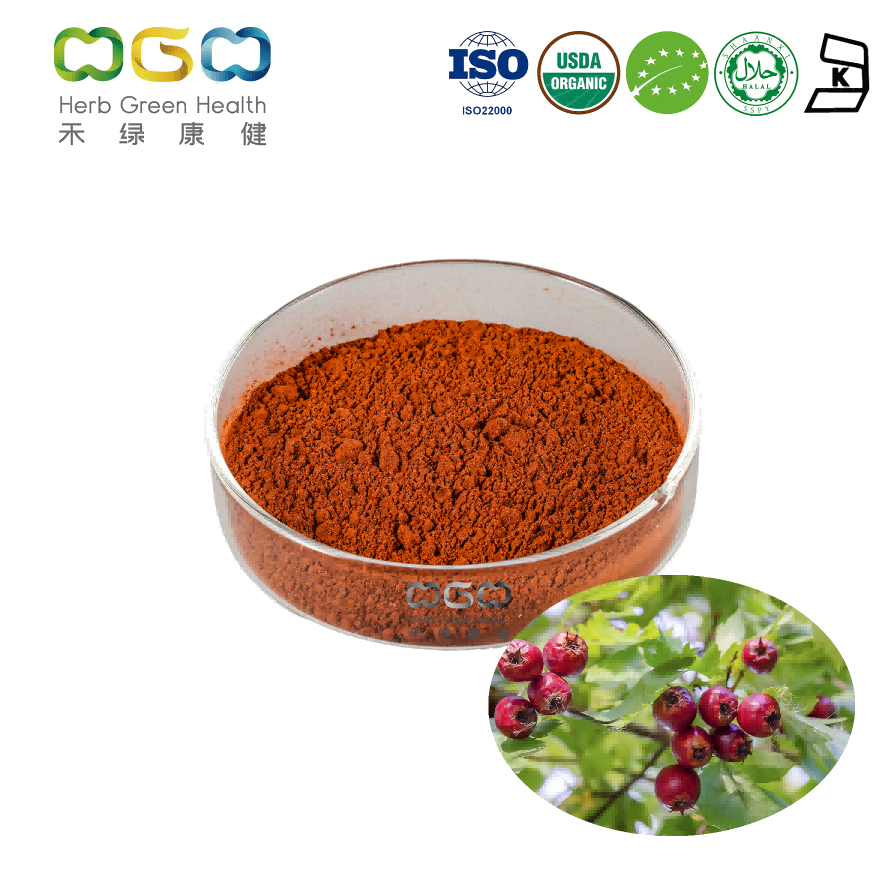 Solid Hawthorn Fruit Extract Polysaccharide 