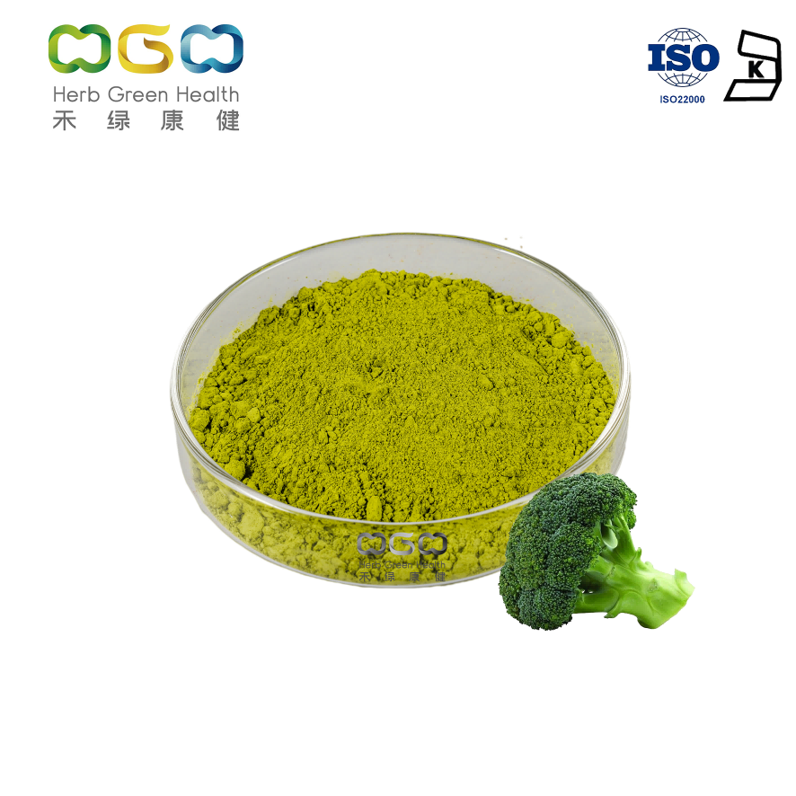 Bulk Sale Broccoli Powder Nutrition Supplement 