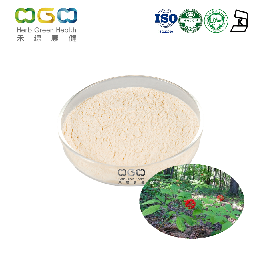 Great Price Panax Ginseng Leaf Extract Ginsenosides Powder