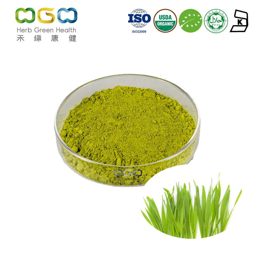 Best Green Organic Barley Grass Powder Drink