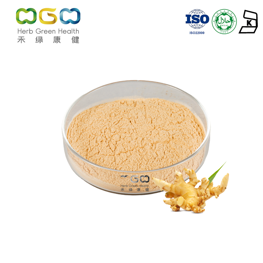 Pure Ginger Extract Gingerol supplement