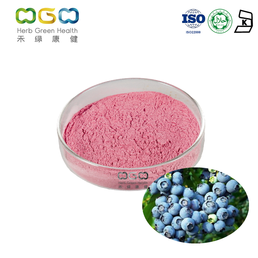 Boost Immunity Blueberry Fruit Extract Powder