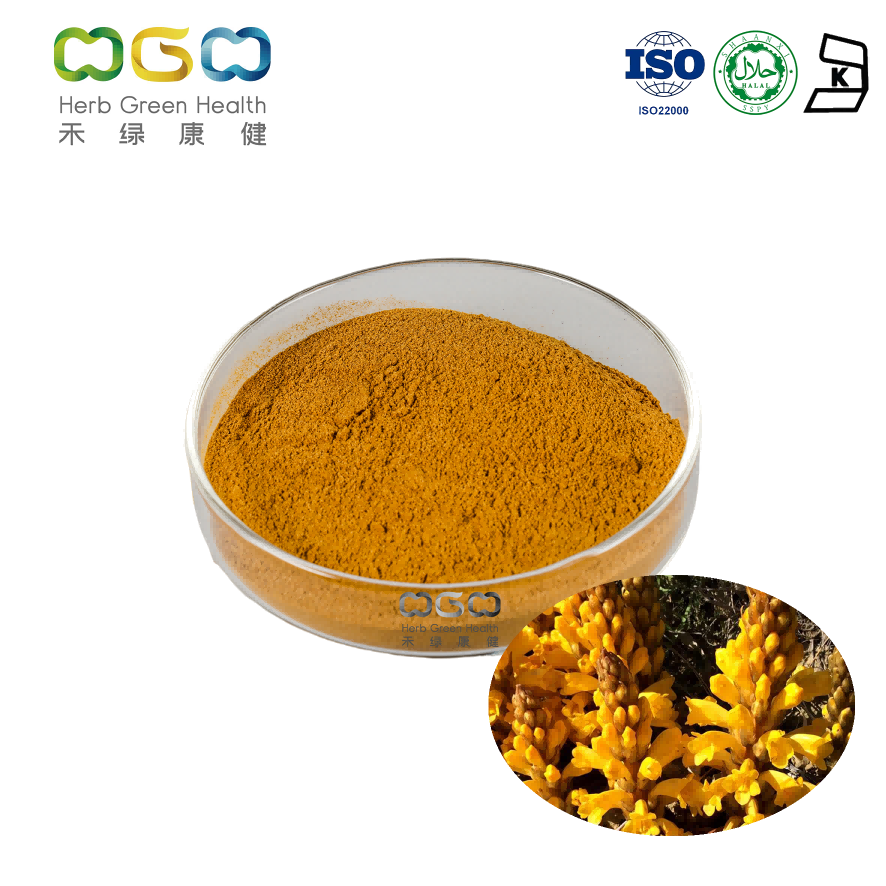 Natural Healthcare Anti-Aging Cistanche Tubulosa Extract Powder