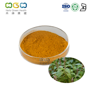 Anti-inflammatory Anti-Cancer Coleus Forskohlii Extract Powder