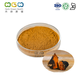 Natural Source Chaga Mushroom Bark Extract Powder