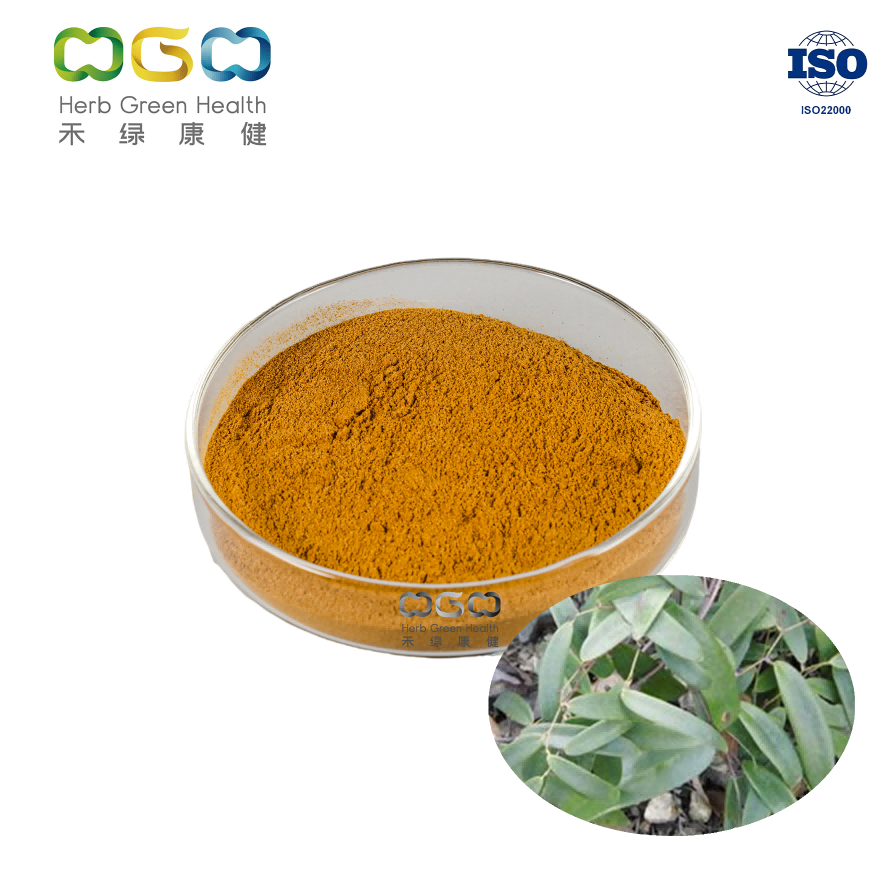 Health Food Medicine Additive Sarsaparilla Root Powder