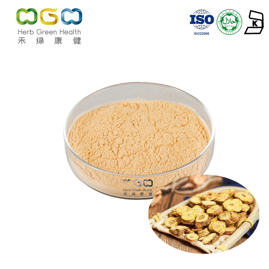 Scullcap Root Extract Powder For Protect Liver