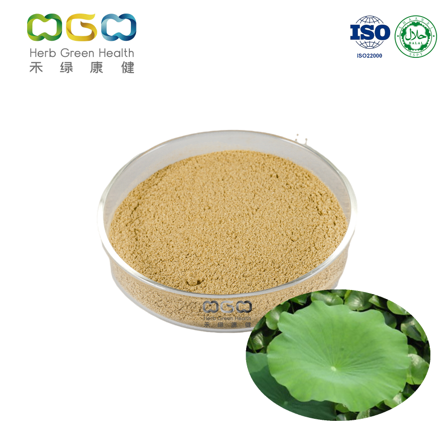 Weight Control Lipid-lowering Lotus Leaf Extract Powder