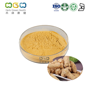 Standardized American Ginseng Root Extract Powder 