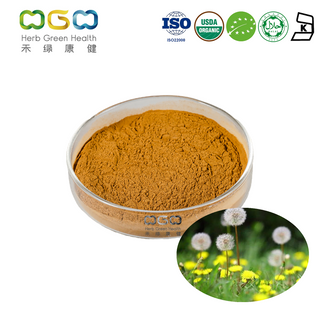 Anti-inflammation Organic Mongolian Dandelion Herb Powder For Skin