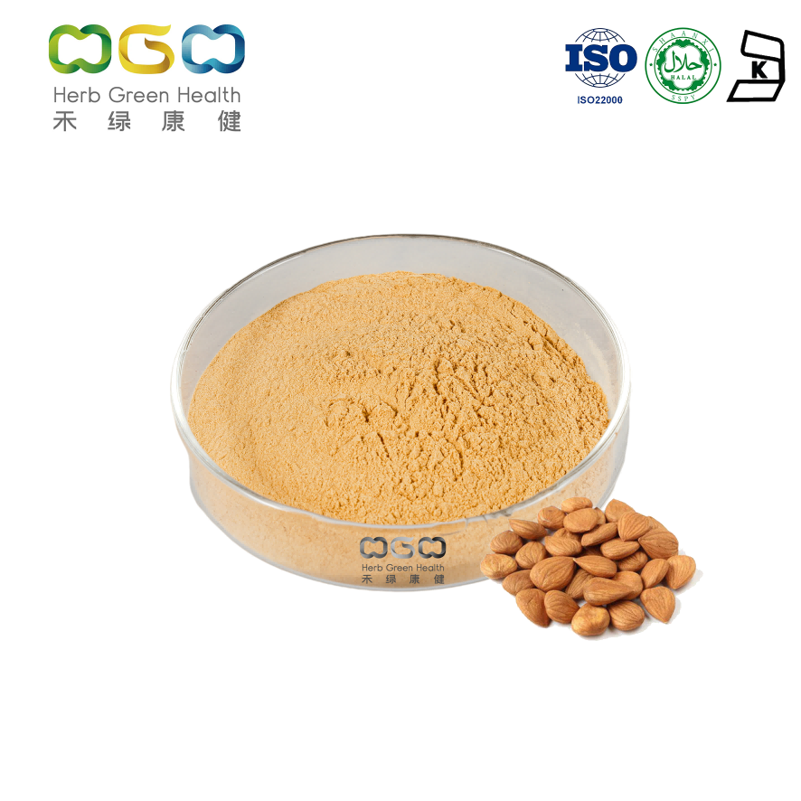 Natural Healthcare Anti-tumor Bitter Apricot Seed Extract Powder