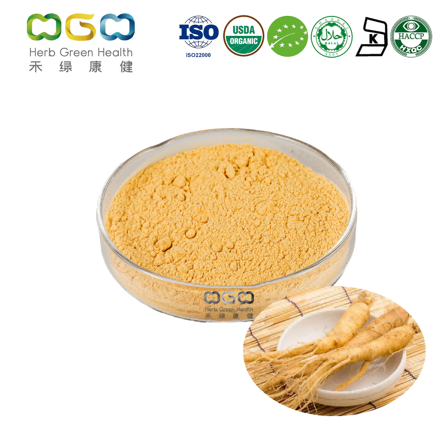 Organic Panax Ginseng Root Extract Ginsenosides For Skin Care