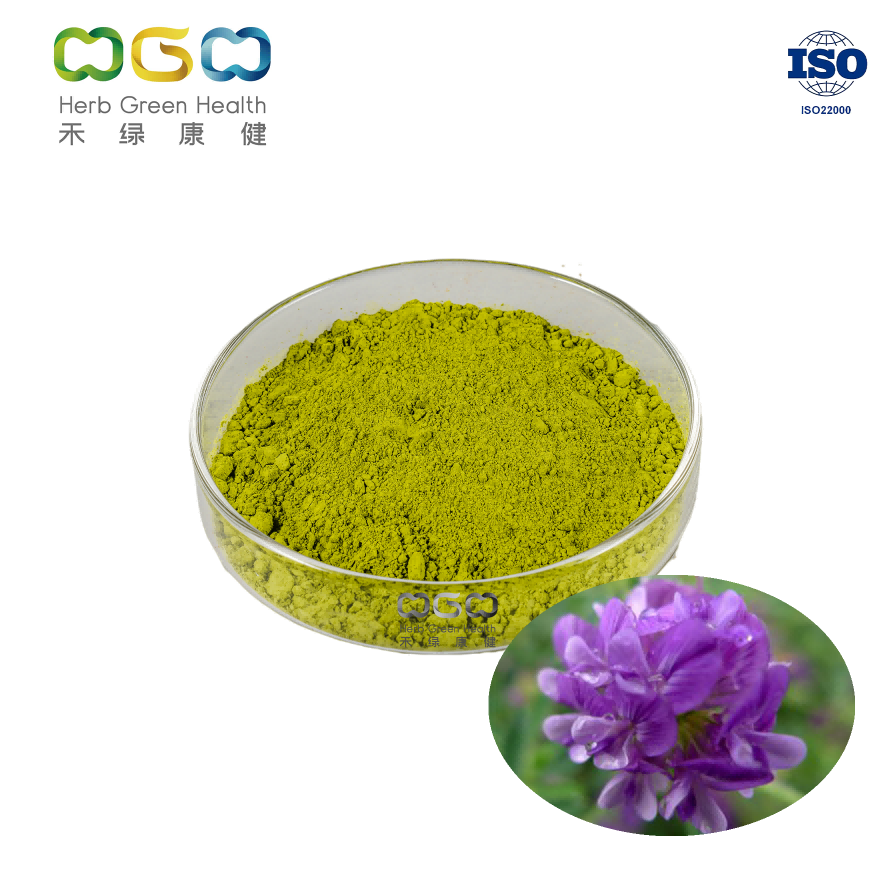 Food Grade Bulk Alfalfa Grass Powder from China manufacturer Herb