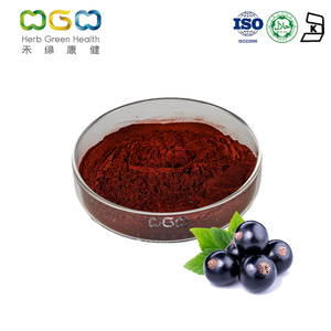 Black Currant SD Powder Anti-aging Anthocyanin For Lower Blood Pressure