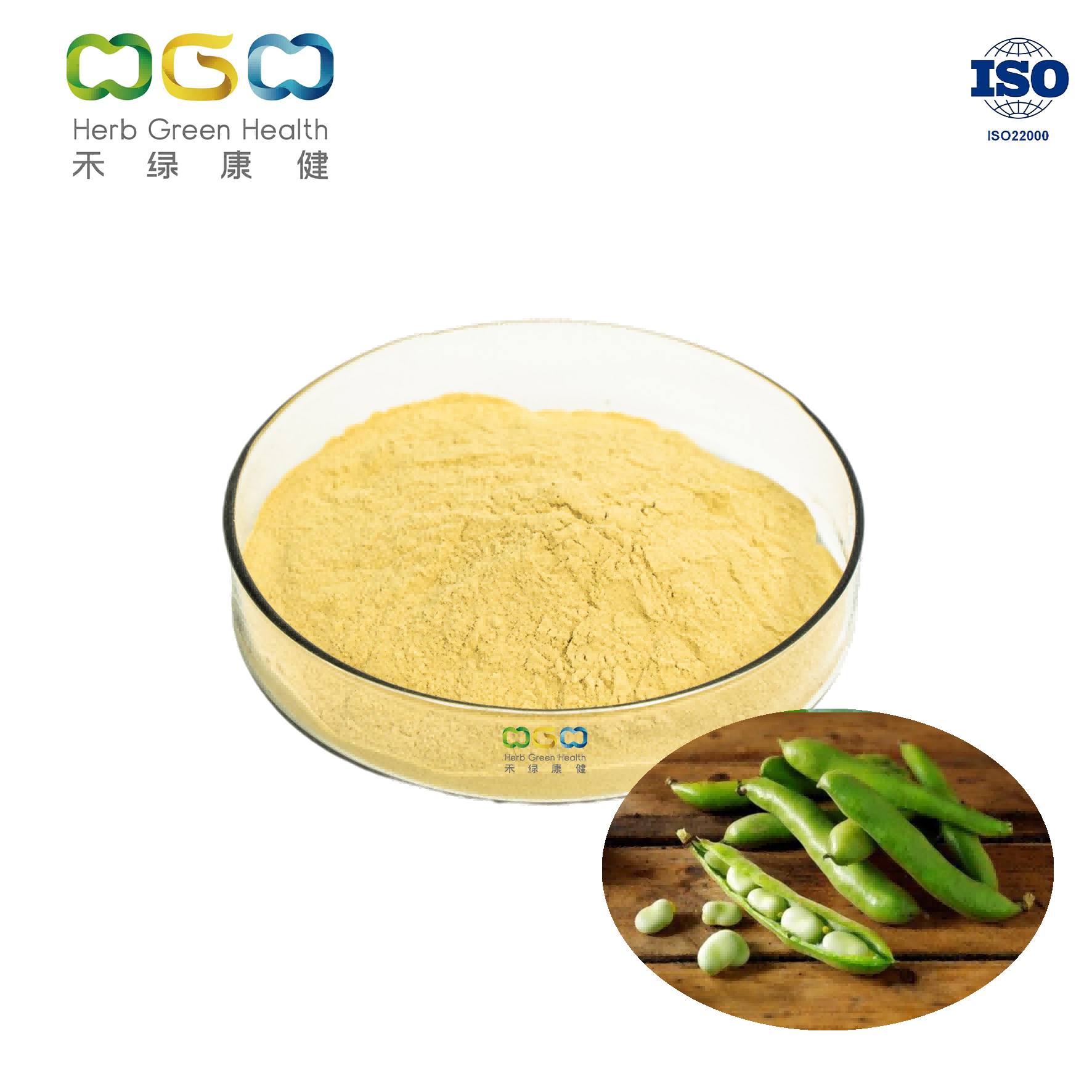 Dried Nutritious Green Food Broad Bean Protein Powder