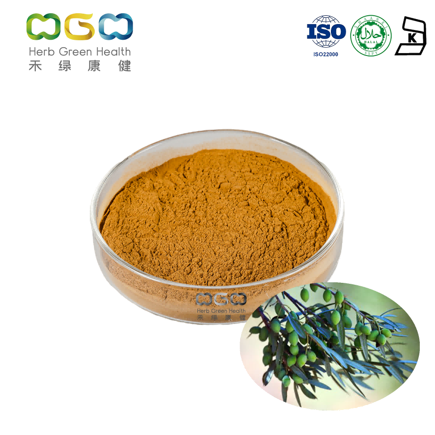 Best Olea Europaea Olive Leaf Extract Blood Pressure from China