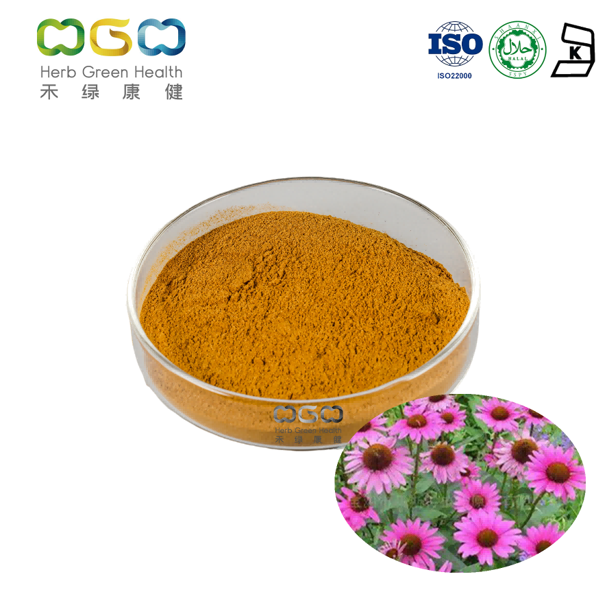 Dry Echinacea Herb Extract Polyphenol