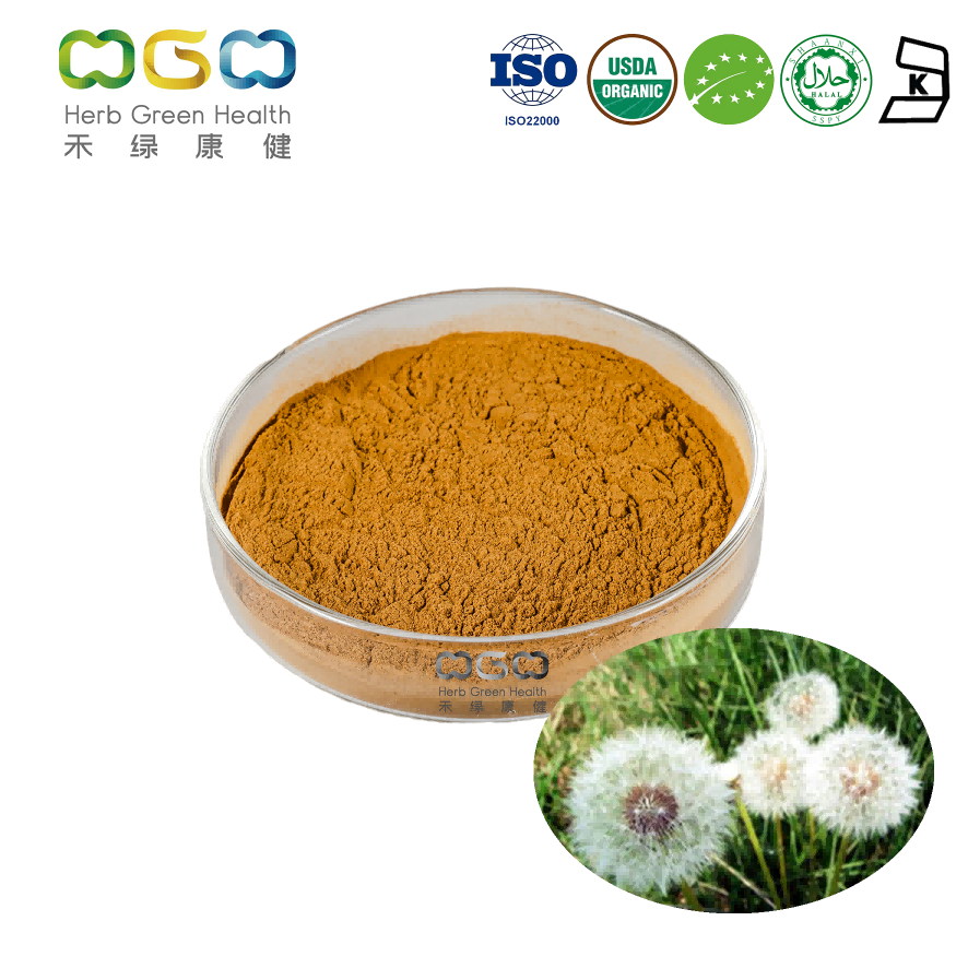 Anti-inflammation Mongolian Dandelion Herb Extract Caffeic Acid