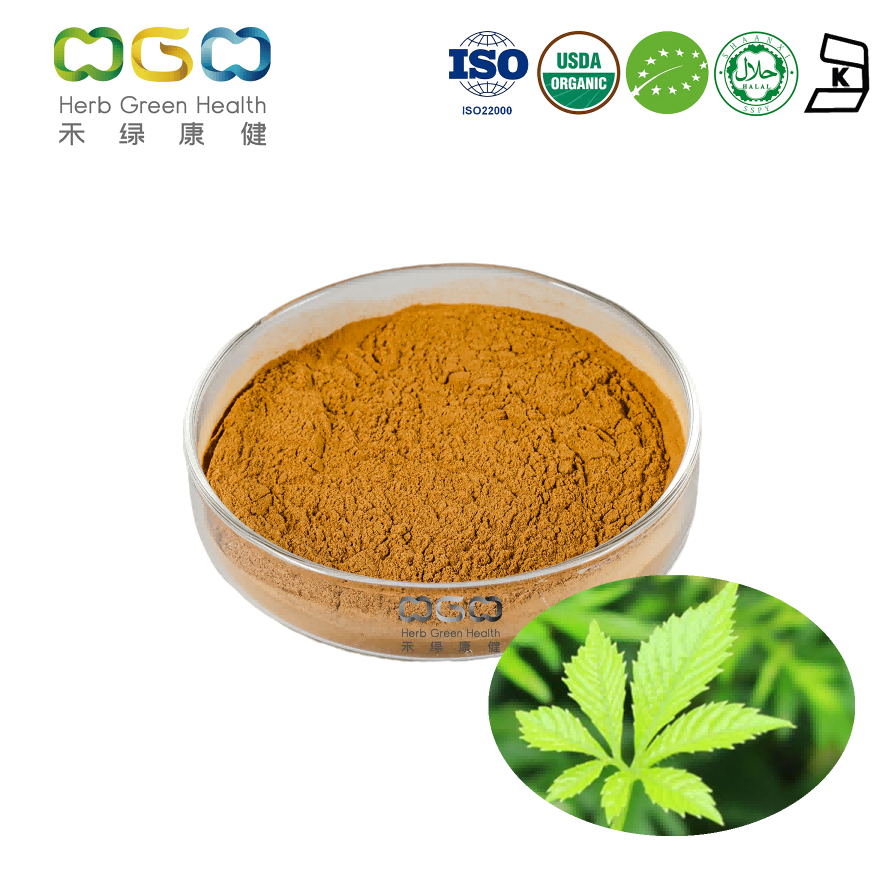 Bulk Supply Organic Gynostemma Root Extract Powder