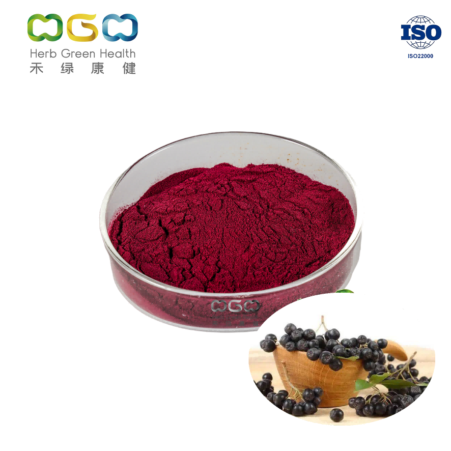 Food Additive Aronia Berry Fruit Extract Powder