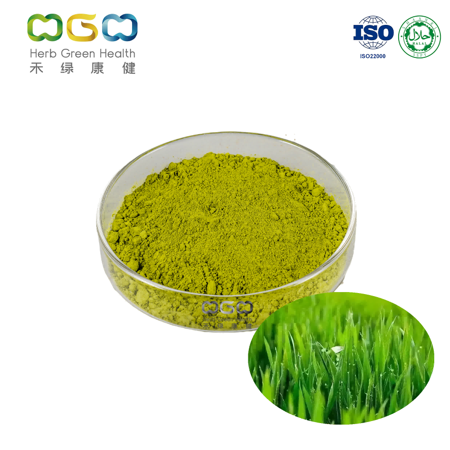 Green Food Raw Wheatgrass Powder Supplements 