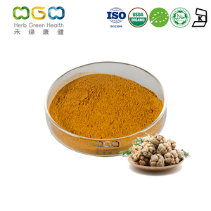 Panax Notoginseng (Tienchi) Extract Powder Ginsenosides For blood stasis