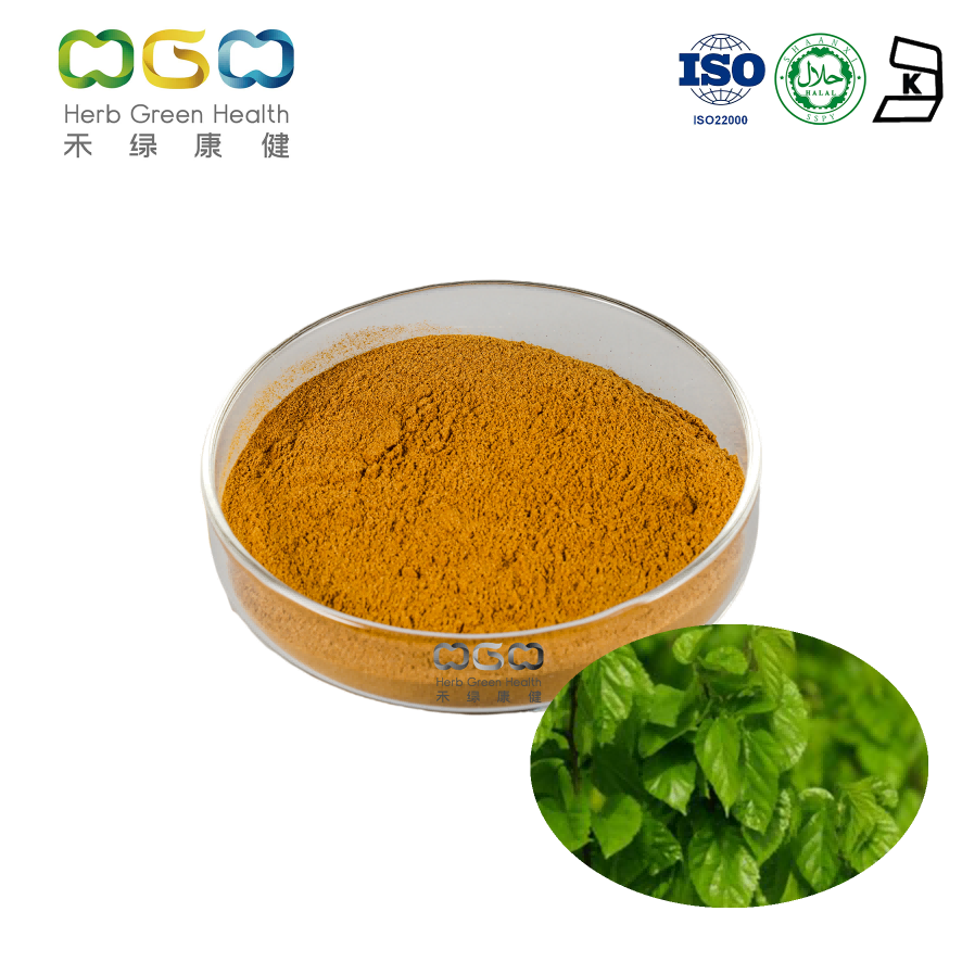 Mulberry Leaf Extract DNJ Supplement For Diabetes